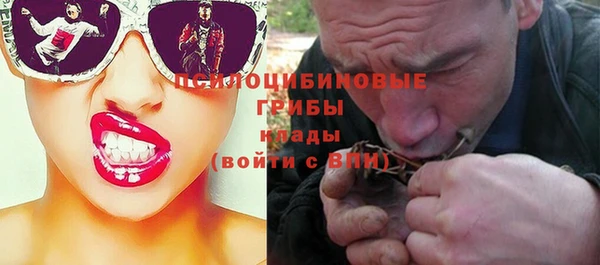 apvp Нягань