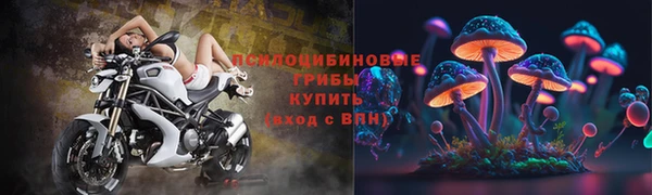 apvp Няндома