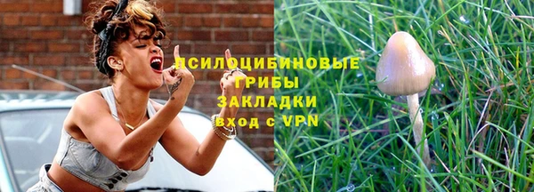apvp Няндома