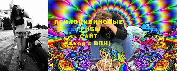 spice Нязепетровск