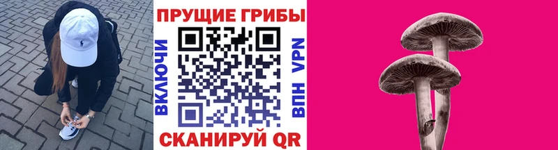 мориарти состав Агрыз Галлюциногенные грибы Psilocybe купить наркоту