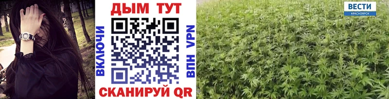 Каннабис марихуана  Агрыз 